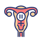 Menopause